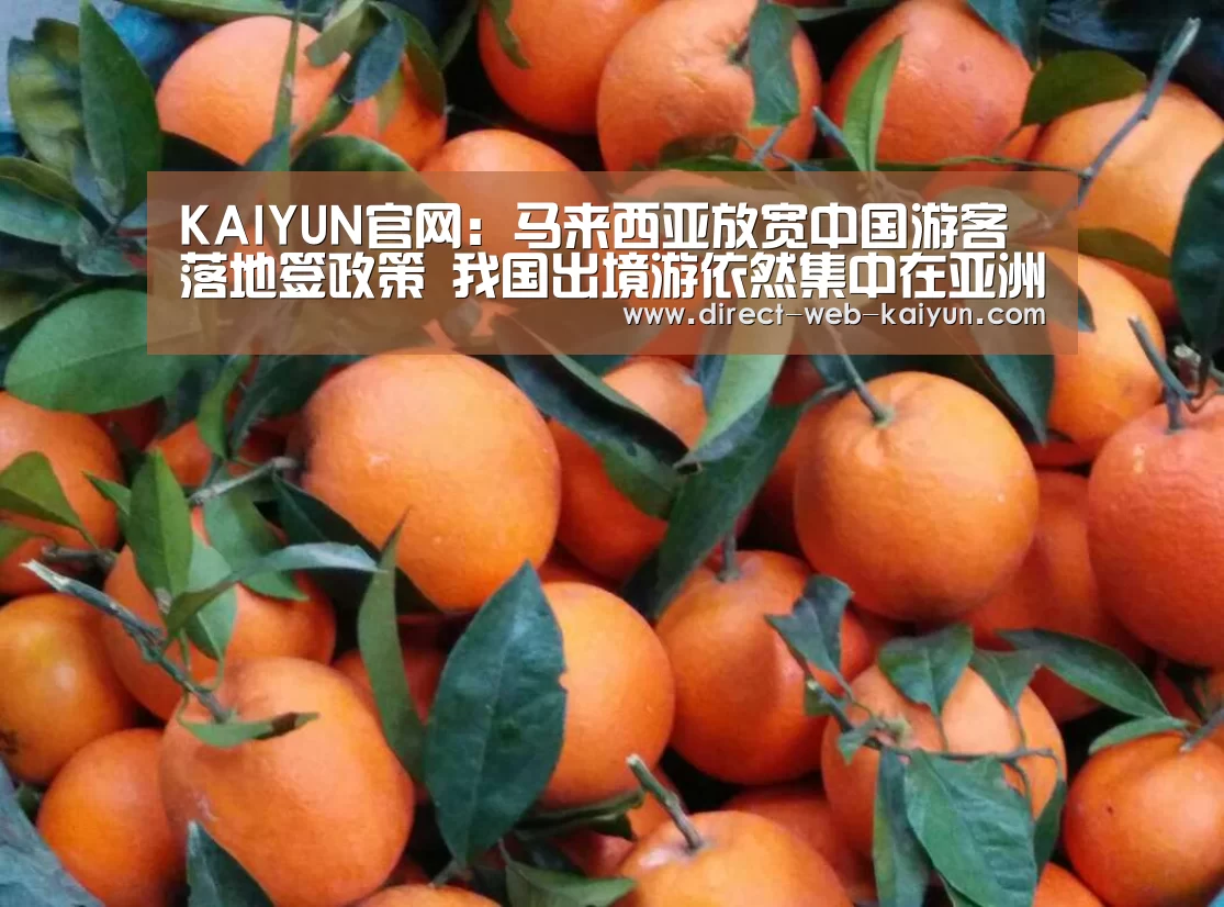 KAIYUN官网:马来西亚放宽中国游客落地签政策 我国出境游依然集中在亚洲市场(图4) KAIYUN官网