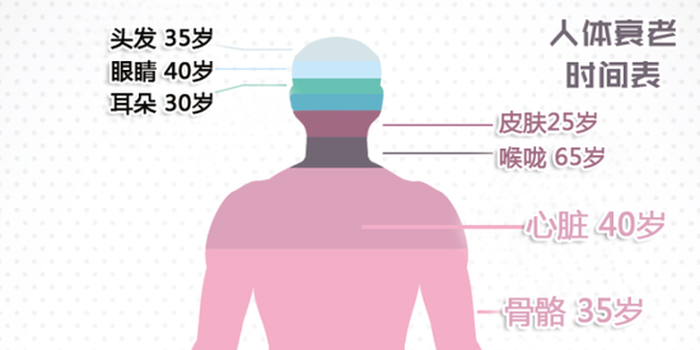 ‘开云体育首页’
全球移动网速比拼:中国移动冲进前10 阿联酋反超韩国跃居第一(图4) KAIYUN官网