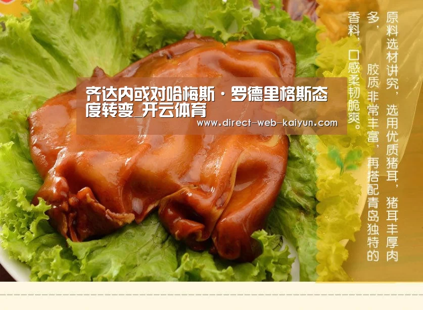齐达内或对哈梅斯·罗德里格斯态度转变_开云体育(图1) 开云体育首页