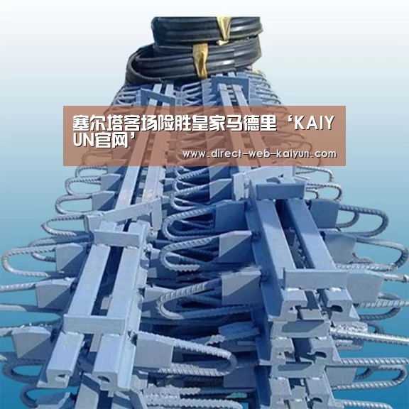 塞尔塔客场险胜皇家马德里‘KAIYUN官网’(图4) 开云入口