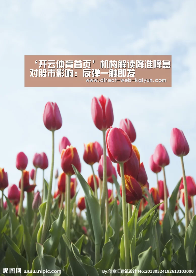 ‘开云体育首页’机构解读降准降息对股市影响:反弹一触即发(图1) KAIYUN官网