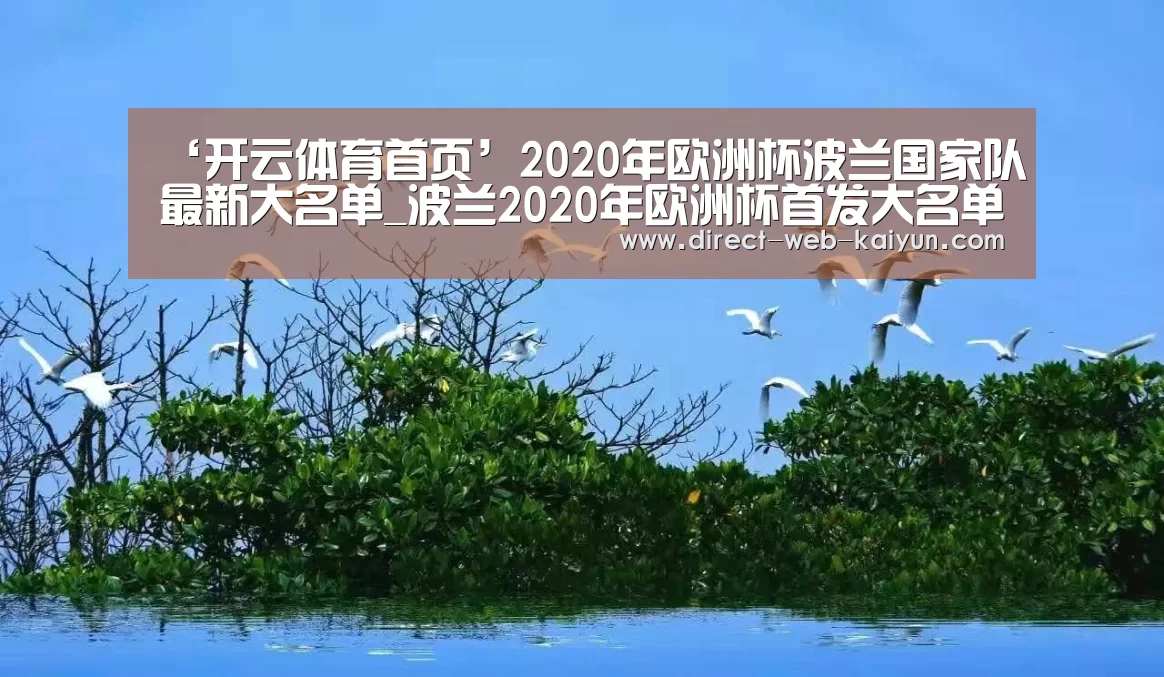 ‘开云体育首页’2020年欧洲杯波兰国家队最新大名单_波兰2020年欧洲杯首发大名单(图1) 开云体育