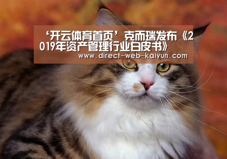‘开云体育首页’克而瑞发布《2019年资产管理行业白皮书》 我国资产管理行业市场前景可观(图1) 开云体育首页