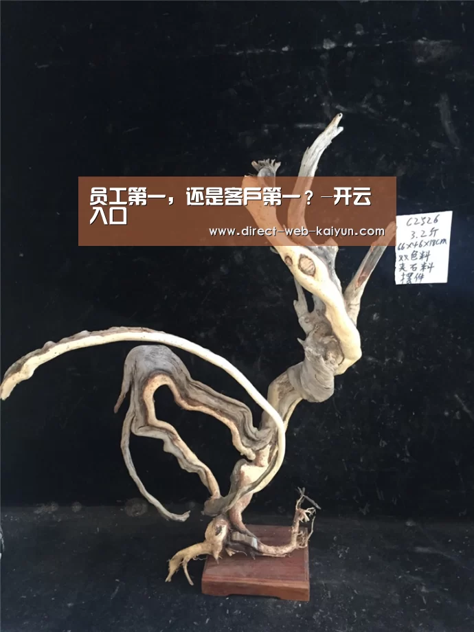 员工第一,还是客户第一?-开云入口(图4) KAIYUN官网