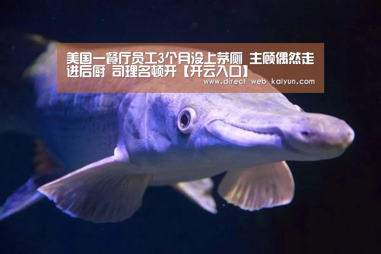 开云体育首页