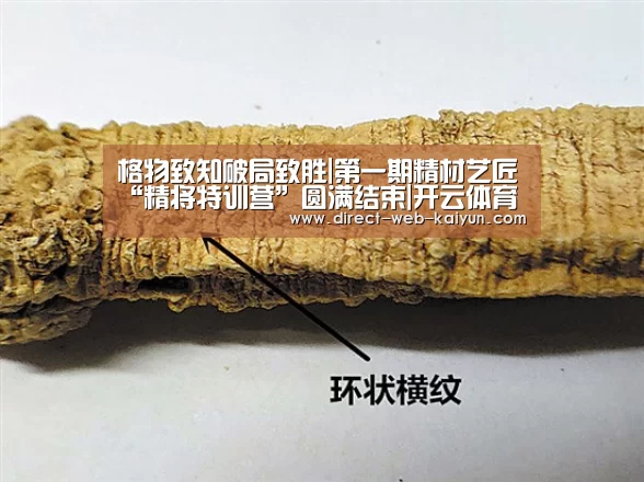 开云体育