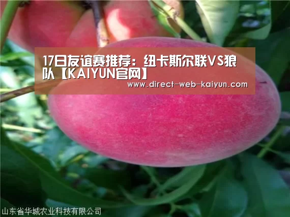 17日友谊赛推荐:纽卡斯尔联VS狼队【KAIYUN官网】(图2) 开云体育