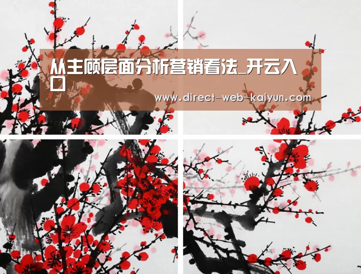 从主顾层面分析营销看法_开云入口(图4) 开云体育首页