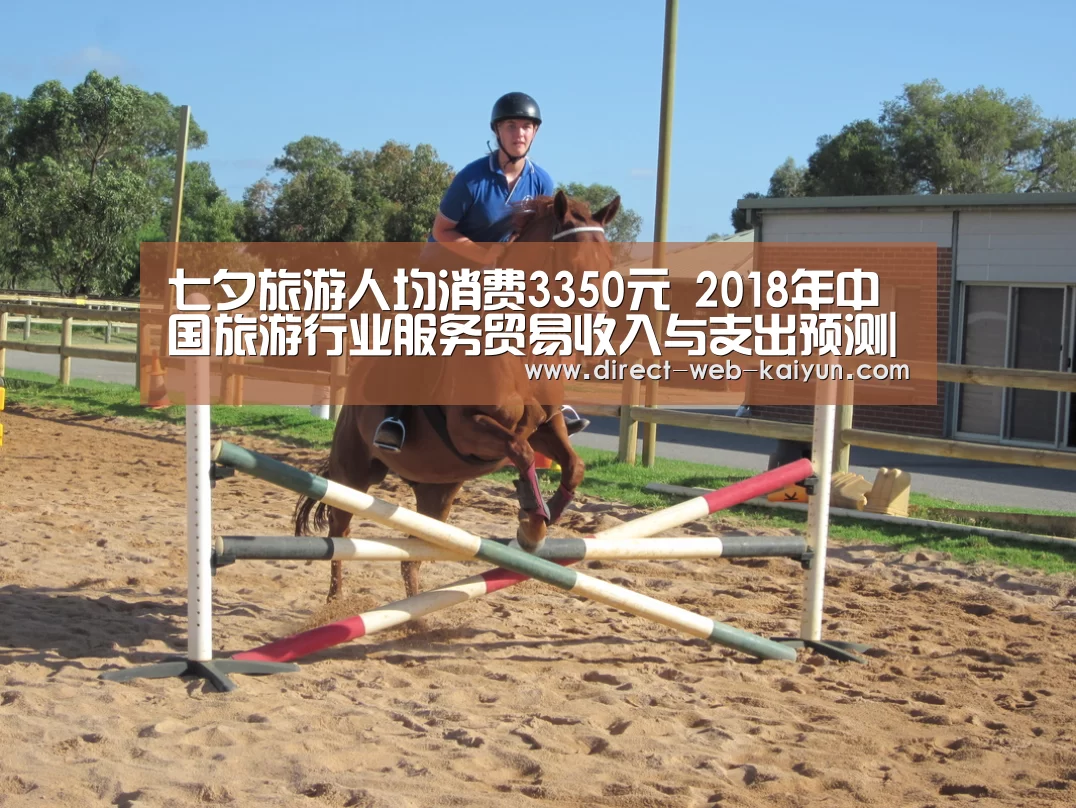 七夕旅游人均消费3350元 2018年中国旅游行业服务贸易收入与支出预测|KAIYUN官网(图3) 开云入口